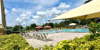 Fantastic 2br/2ba Condo in 55+ Community in On Top Of The World, Clearwater ! Gallery 42
