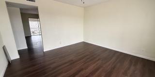 2316 BUCHANAN STREET Gallery 1