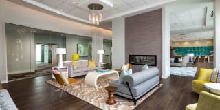 Nine15 Midtown Gallery 5