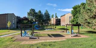 Cherry Creek Gallery 20