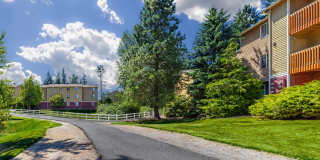 Tamaron Ranch Gallery 3