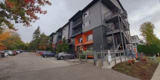 Kendal Court Apartments, 2 Bedroom, 1 Bathroom Apartments for Rent! Gallery 3