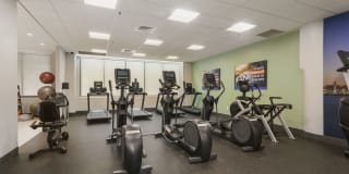 The Victor Gallery 10