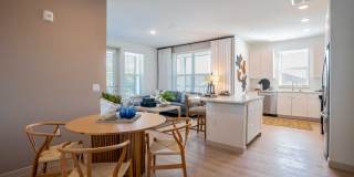 J. Ardin at Apopka Gallery 6