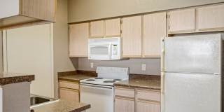 The Timbers at the Park Gallery 26