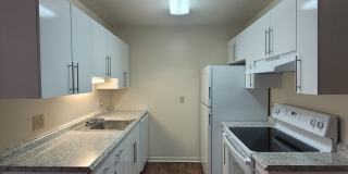 Brook Hollow Gallery 5