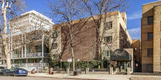 The Profile Gallery 12