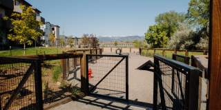 Weathervane Gallery 24