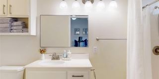 810 Camellia Court Gallery 18