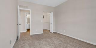 The Chapman Gallery 37