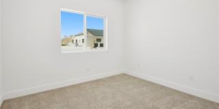 2001 S Dandelion Street Gallery 21
