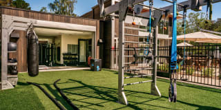 Sharon Green Gallery 4