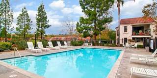 1 bedroom/1 bath upstairs unit in Sabre Springs - Ava Now! Gallery 8
