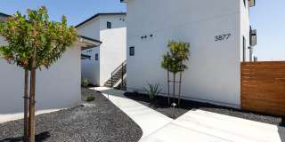 Boren St Gallery 199