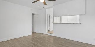 Solano Gallery 4