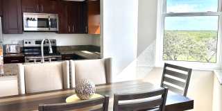 2333 Feather Sound Dr Gallery 1