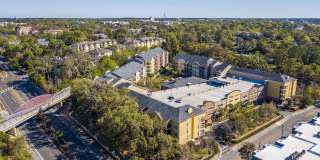 Wildflower Gallery 1