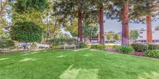 Paloma Vista Apartment Homes Paloma Vista Apartment Homes Gallery 2