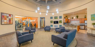 Broadstone Colonnade Gallery 15