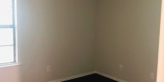 AV Gallery 39