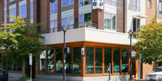 The Fitz Gallery 29