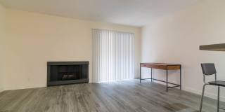 339 S. Ardmore Gallery 13