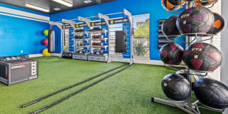 Carrington Oaks Gallery 19