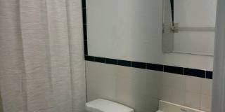 1015 SW 48th Terrace Cape Coral, FL 33914 Gallery 8