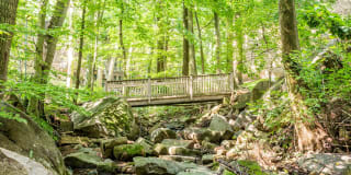 Top of the Hill Apartments Gallery 2