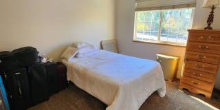 Beautiful 3/3/3 Home in Briargate!!! Gallery 10