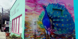 Parc at Mid City Gallery 8