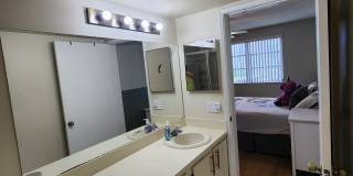 2228 North Cypress Bend Drive Gallery 17