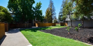 The Boardwalk Gallery 4