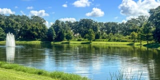 Creekside Ranch Gallery 33