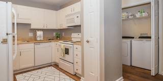 Pepperstone Gallery 37