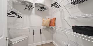 Mira at Palmer Ranch - 55+ Senior Living Community Gallery 10
