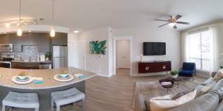 San Remo Gallery 32