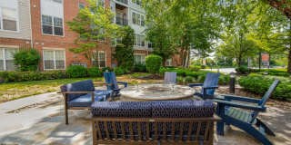 Sofi Lyndhurst Gallery 49