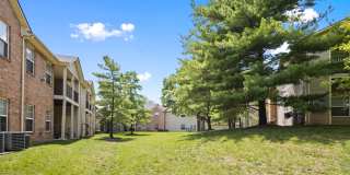 Steeplechase at Shiloh Crossing Gallery 45