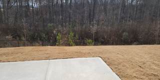 Newer Build in Senoia's South Ridge, 4BR, 2.5 BA Newer Build in Senoia's South Ridge, 4BR, 2.5 BA Gallery 37