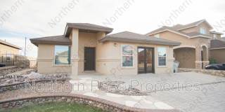 14308 Arabian Point Gallery 1