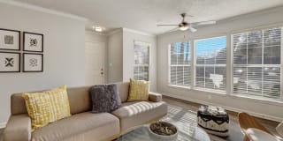 Elements of Madison Gallery 1