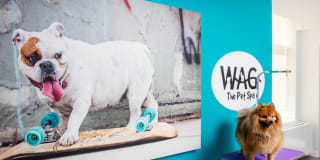 AVA DoBro Gallery 38