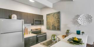 1311 Cook Gallery 13