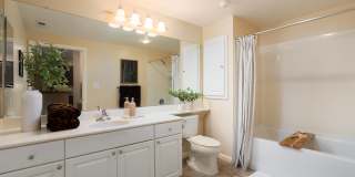 Domicilio Gallery 24