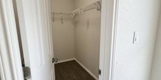 1146 KITE COR Gallery 28