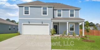 519 Donnas View Way Gallery 1