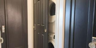 1003 Art Hill Pl. Gallery 4