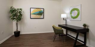 Queens Gate Gallery 14