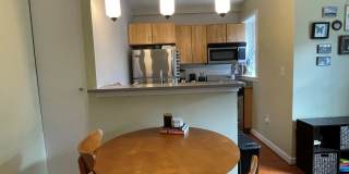 Recently Renovated 1 bedroom apartment in Columbia Heights Gallery 6